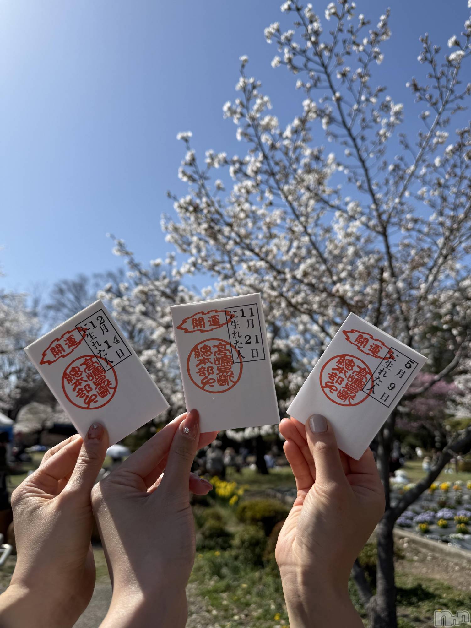 ��ˬ����Х��顦����֥���� �ץ���� ��ˬ(����� �ץ���� ����) ��2025ǯ4��25���̥�֥�����🥠��