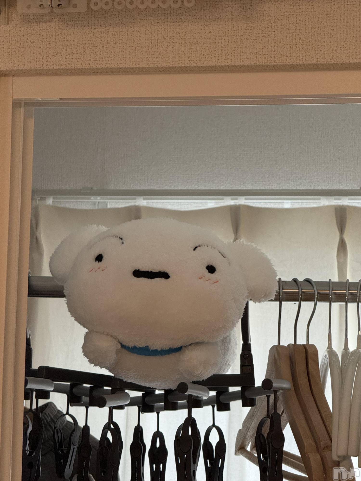 ��ˬ����Х��顦����֥���� �ץ���� ��ˬ(����� �ץ���� ����) ��2025ǯ5��16���̥�֥�����😂��