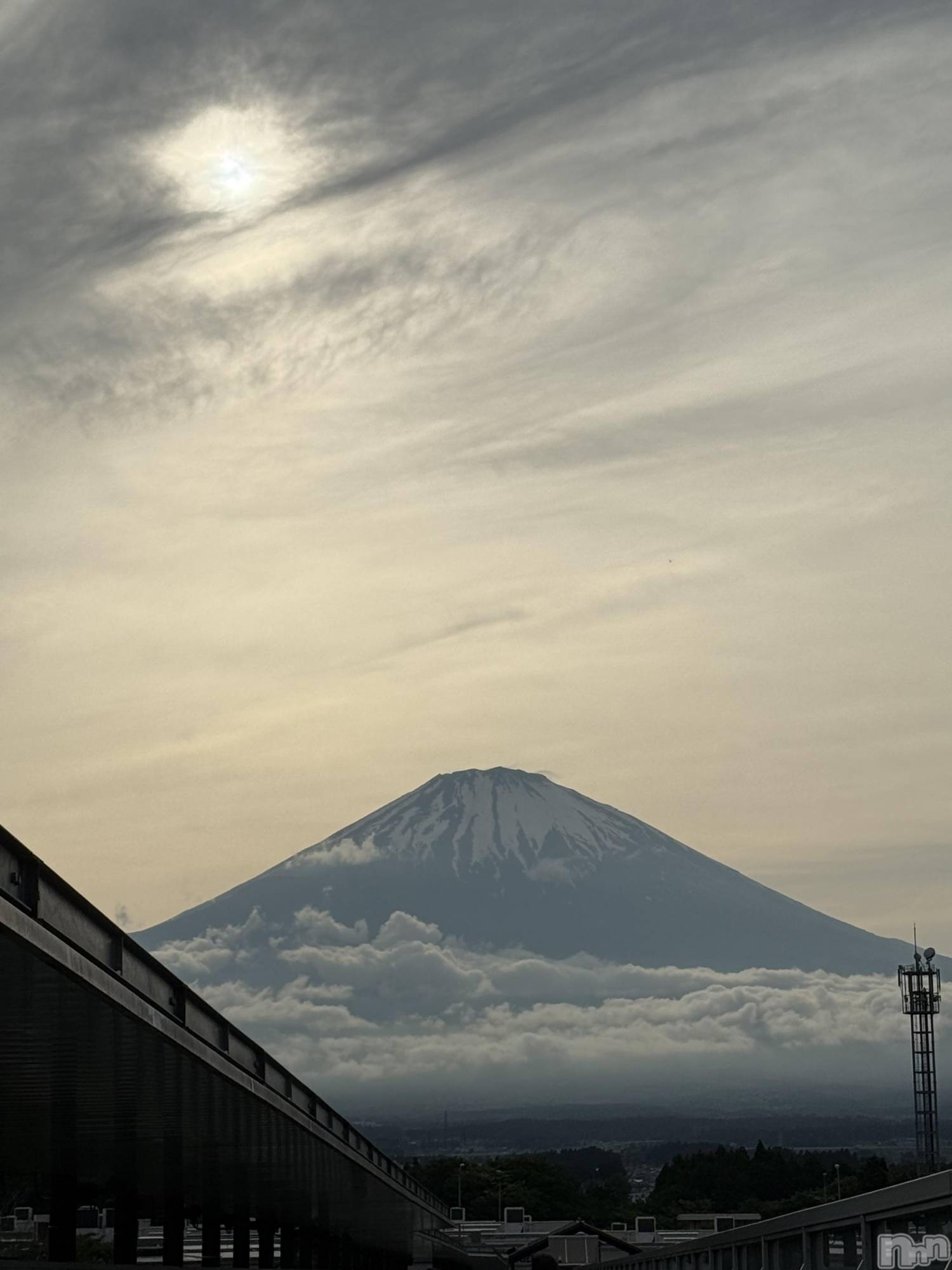 ��ˬ����Х��顦����֥���� �ץ���� ��ˬ(����� �ץ���� ����) ��2025ǯ5��27���̥�֥�����⛰️��