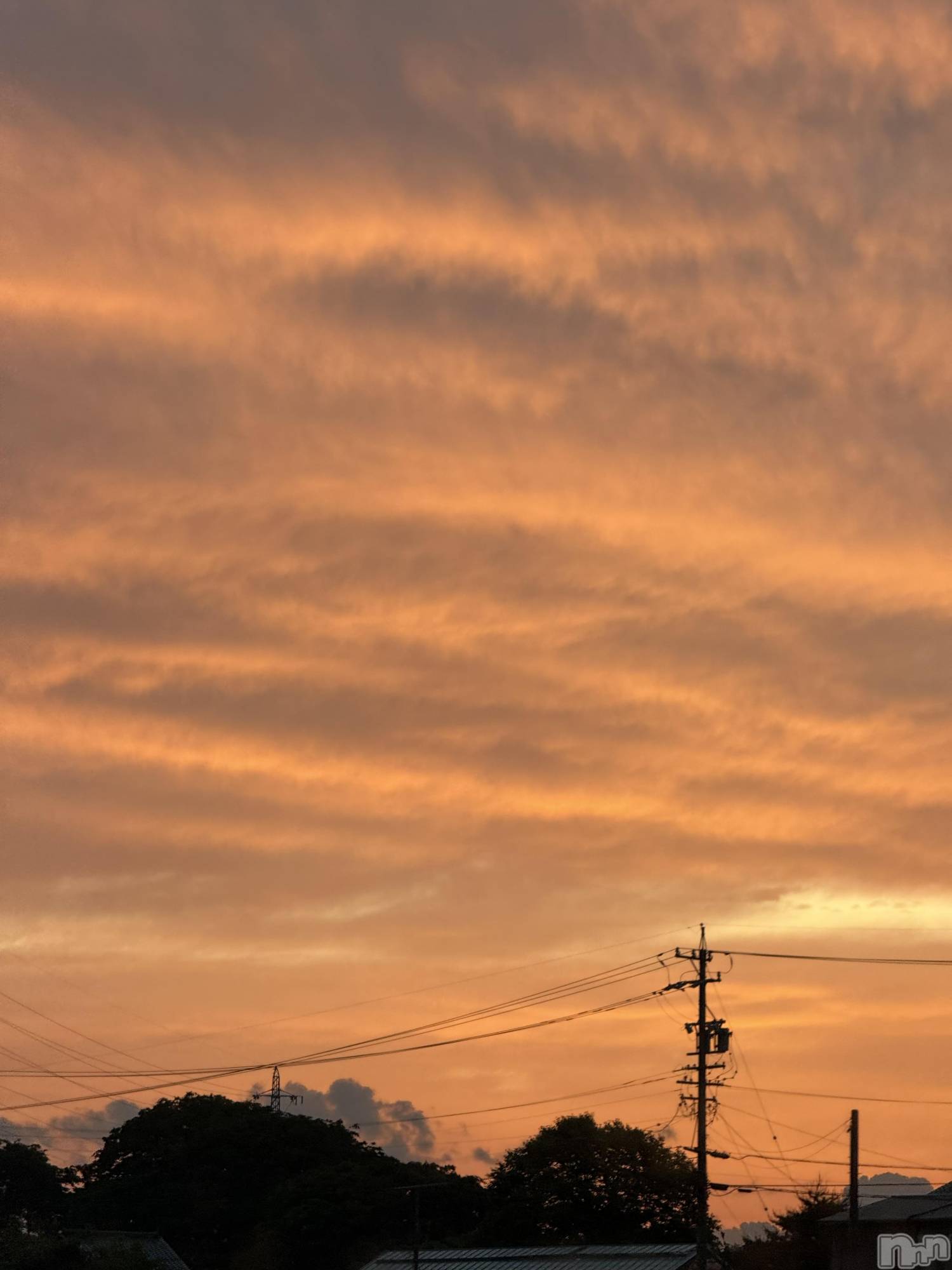 ��ˬ����Х��顦����֥���� �ץ���� ��ˬ(����� �ץ���� ����) ��2025ǯ6��26���̥�֥�����🌆��