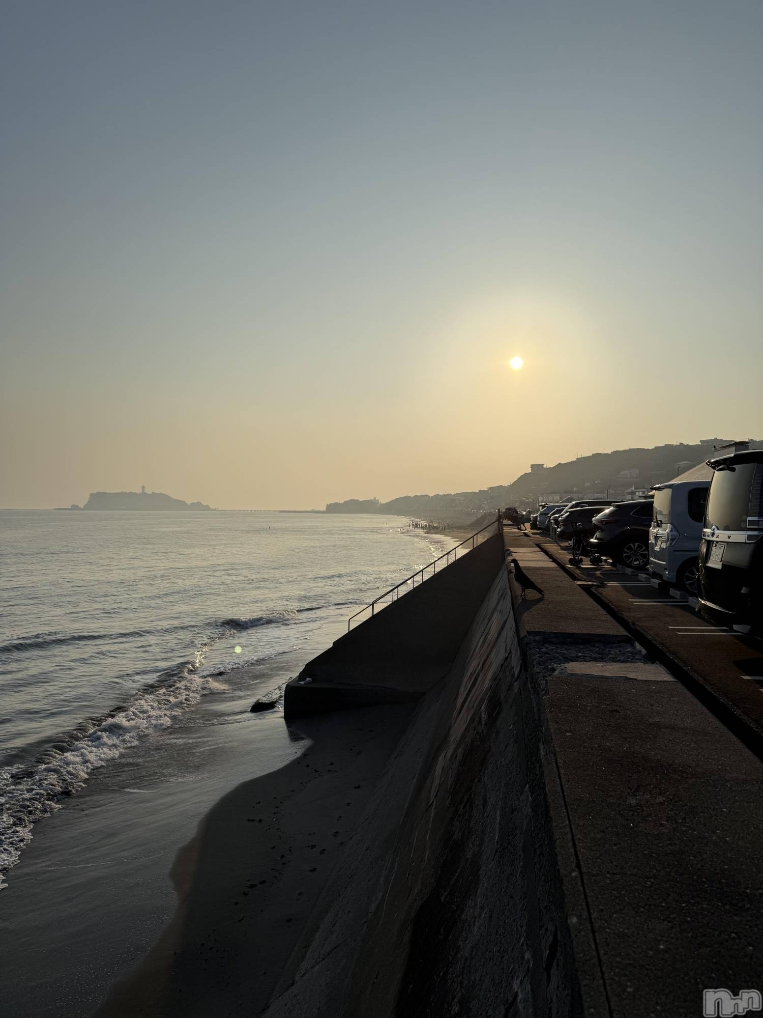 ��ˬ����Х��顦����֥���� �ץ���� ��ˬ(����� �ץ���� ����) ��2025ǯ6��29���̥�֥�����🏝️��