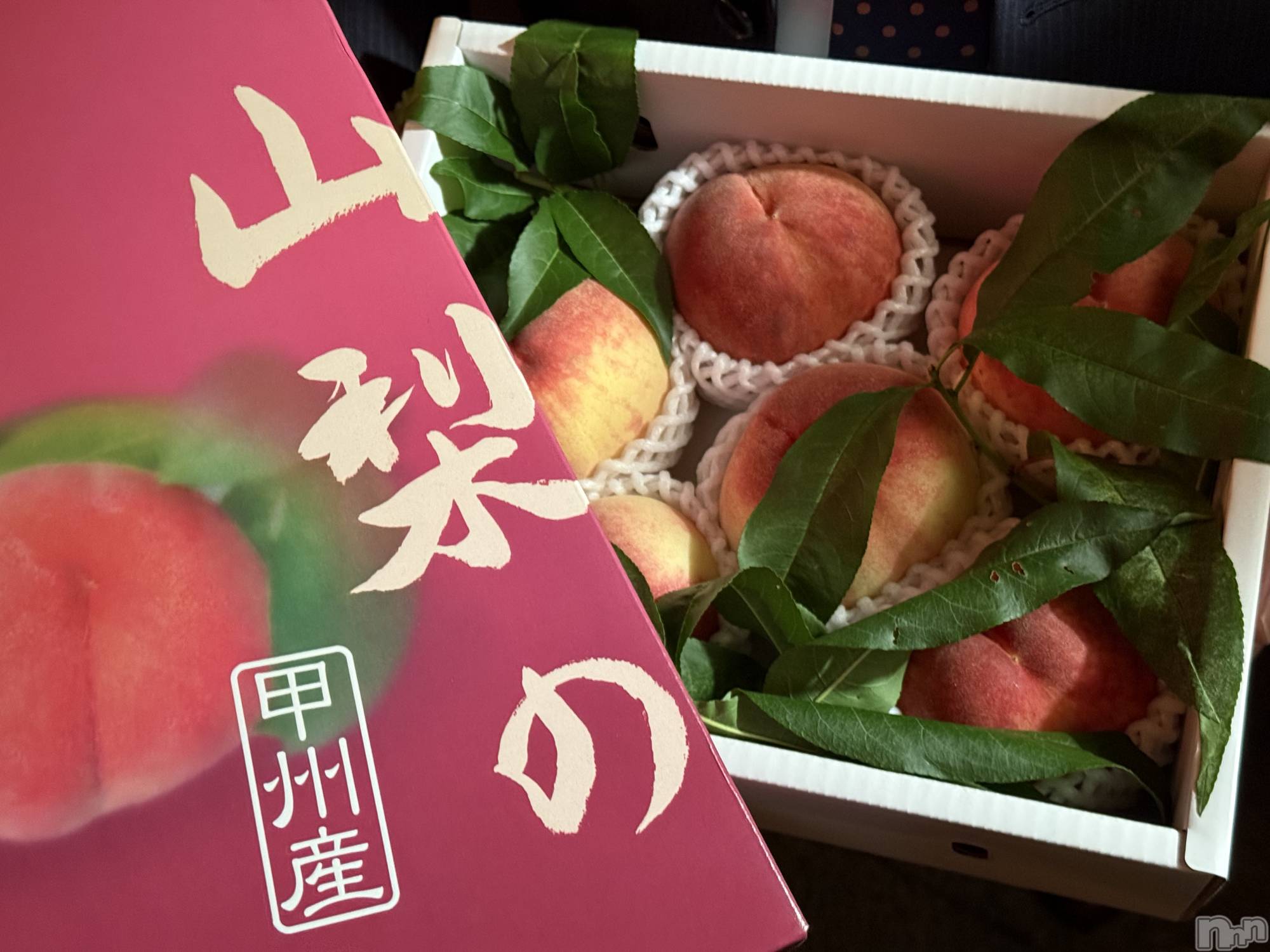 ��ˬ����Х��顦����֥���� �ץ���� ��ˬ(����� �ץ���� ����) ��2025ǯ7��31���̥�֥�����🍑��