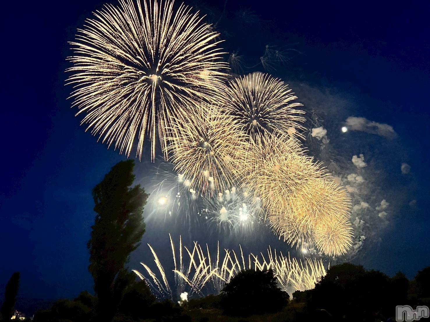 ��ˬ����Х��顦����֥���� �ץ���� ��ˬ(����� �ץ���� ����) ��2025ǯ8��6���̥�֥�����🎆��