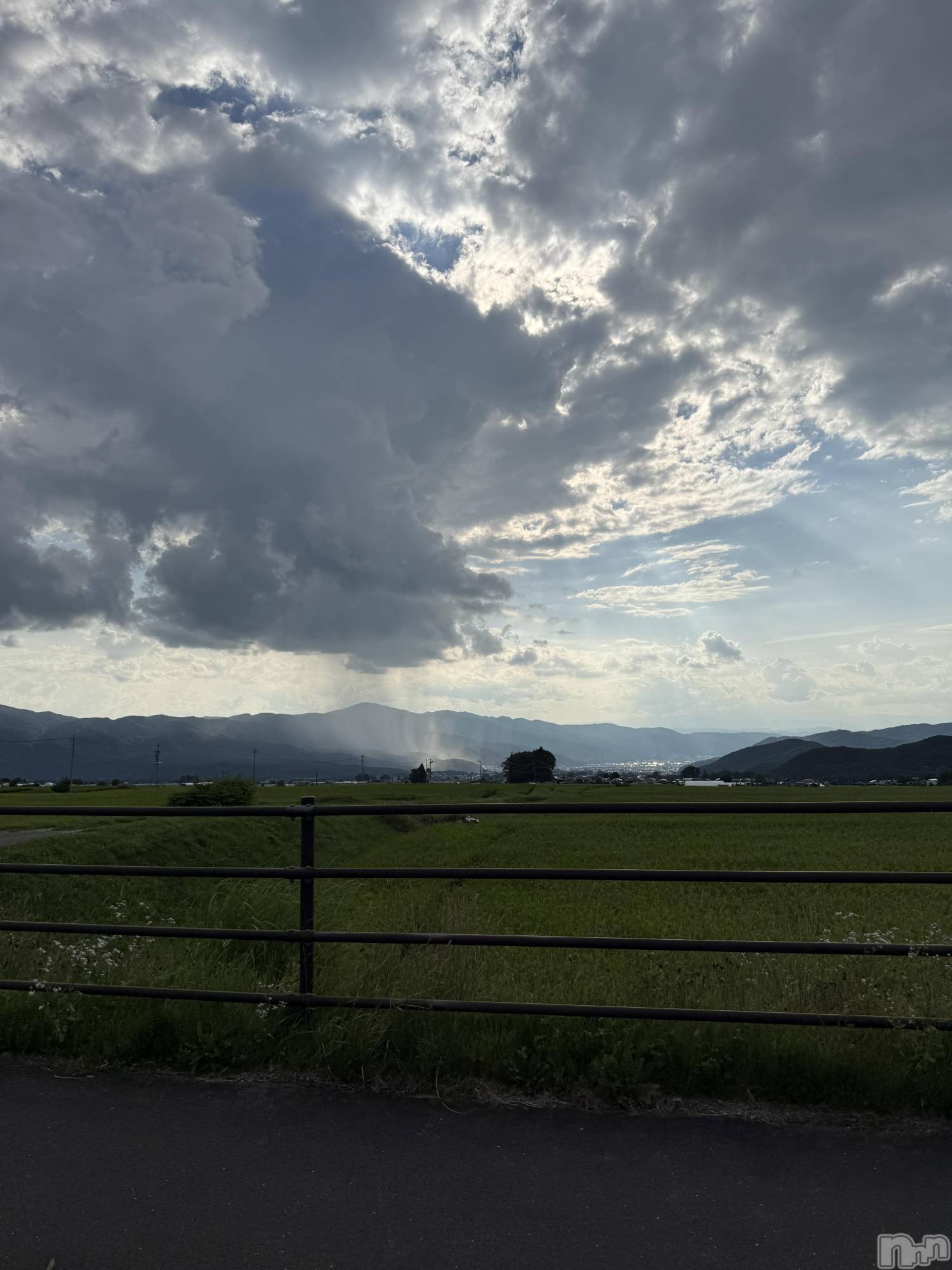 ��ˬ����Х��顦����֥���� �ץ���� ��ˬ(����� �ץ���� ����) ��2025ǯ8��16���̥�֥�����🚗��