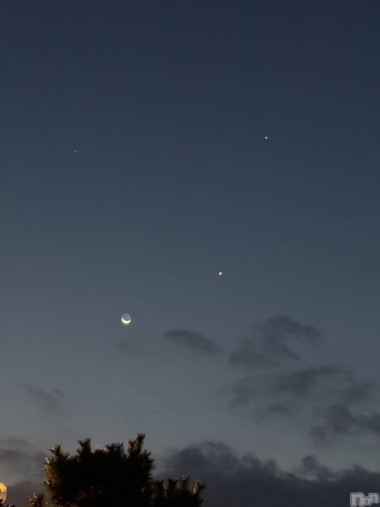 ��ˬ����Х��顦����֥���� �ץ���� ��ˬ(����� �ץ���� ����) ��2025ǯ8��22���̥�֥�����🌙��