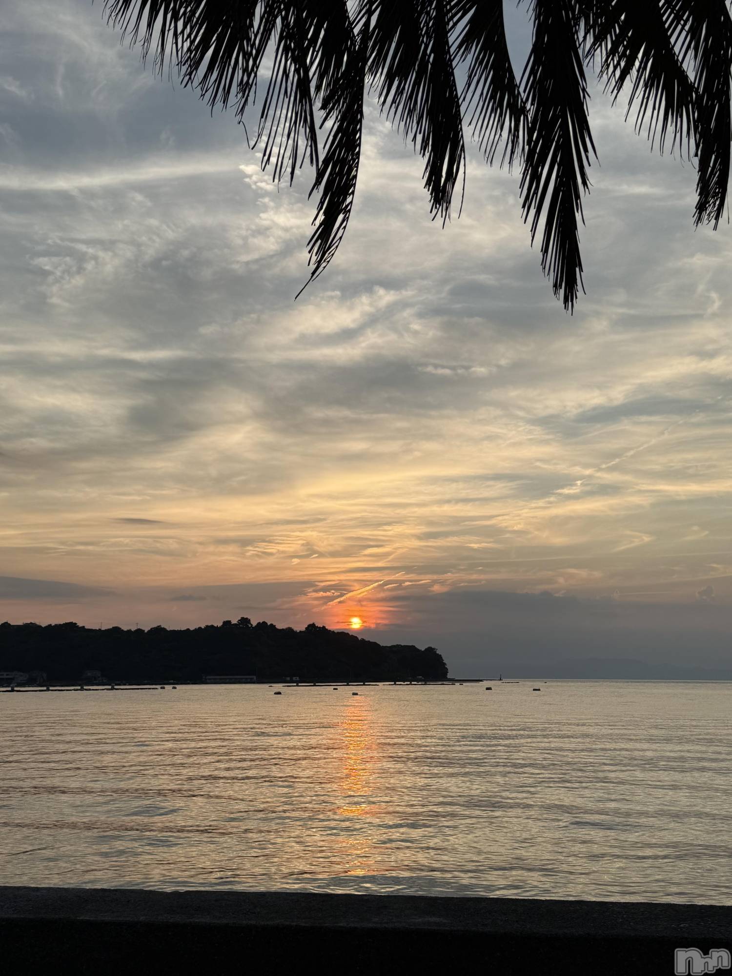 ��ˬ����Х��顦����֥���� �ץ���� ��ˬ(����� �ץ���� ����) ��2025ǯ8��29���̥�֥�����🥺��