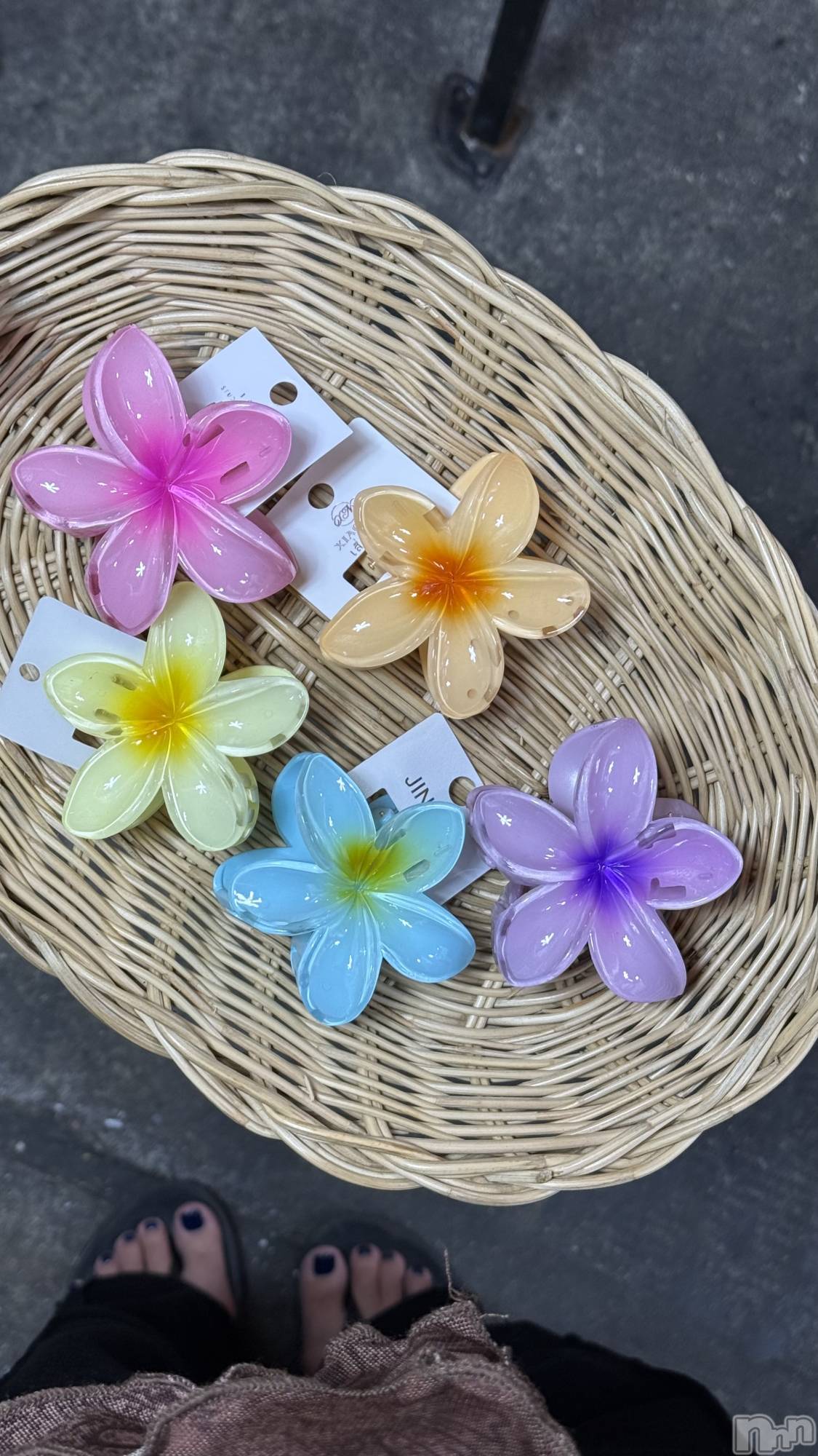 ��ˬ����Х��顦����֥���� �ץ���� ��ˬ(����� �ץ���� ����) ��2025ǯ9��24���̥�֥�����🌺��