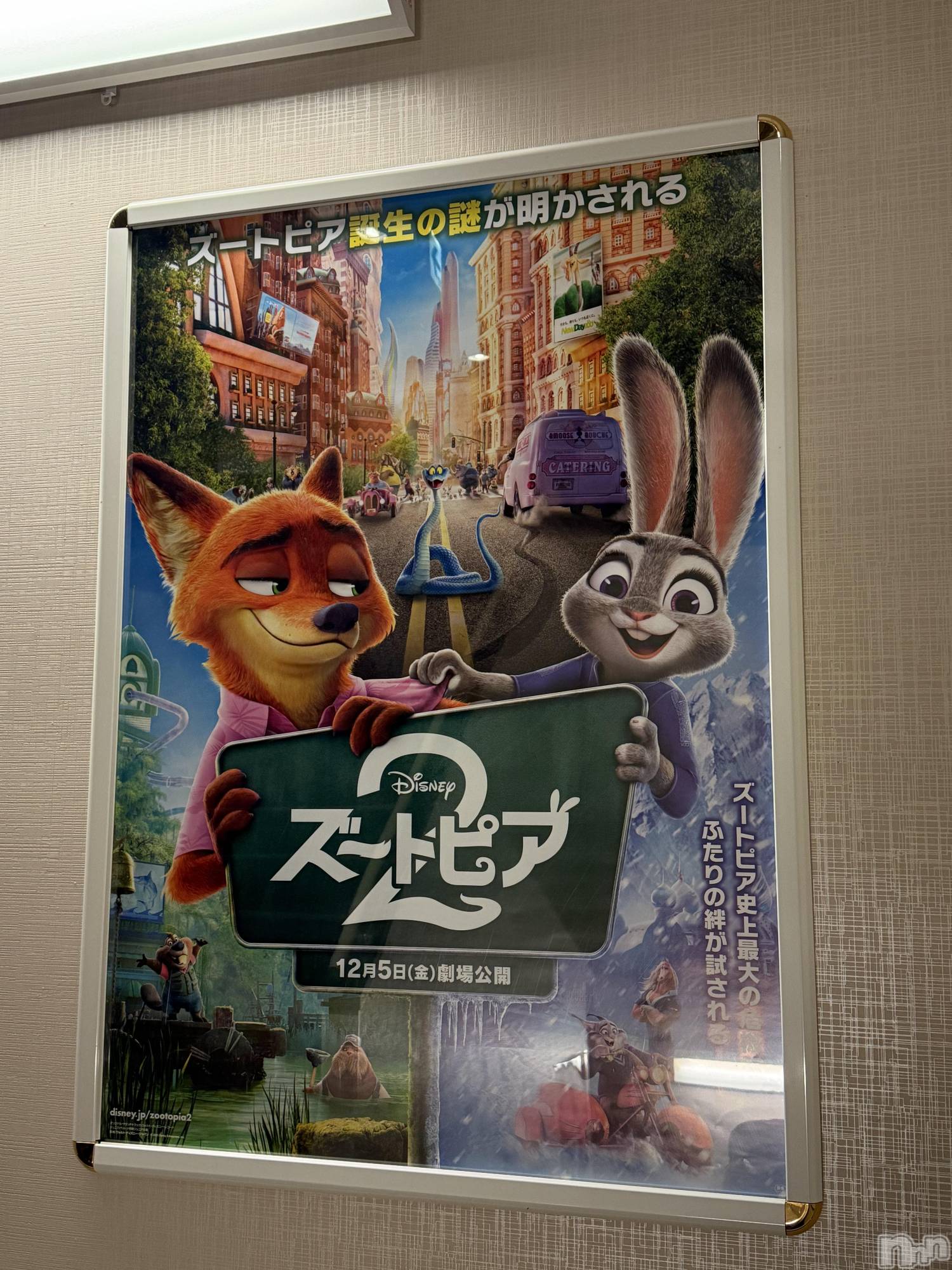 ��ˬ����Х��顦����֥���� �ץ���� ��ˬ(����� �ץ���� ����) ��2025ǯ12��24���̥�֥�����🎞️��