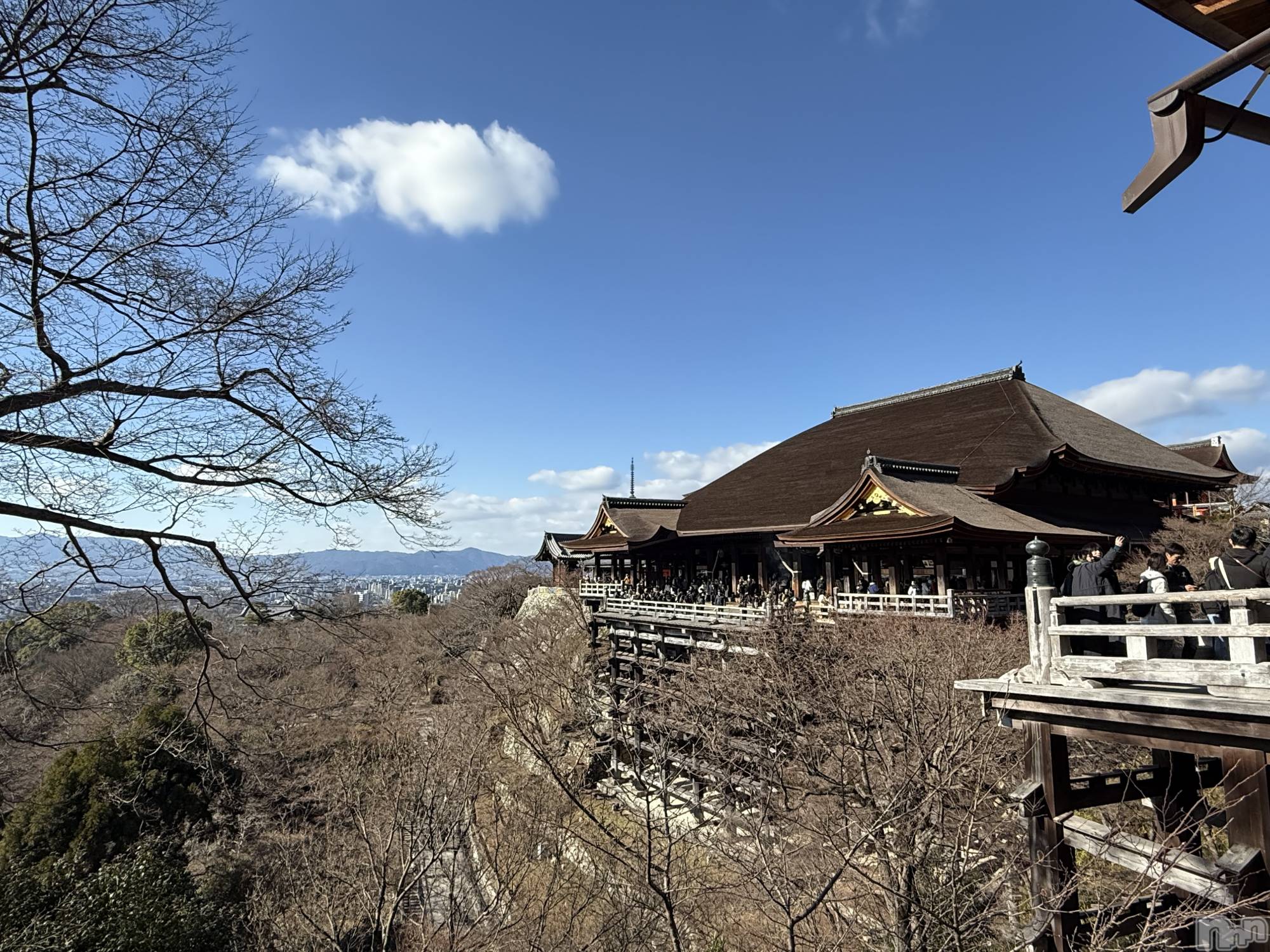 ��ˬ����Х��顦����֥���� �ץ���� ��ˬ(����� �ץ���� ����) ��2026ǯ1��22���̥�֥�����☺️��