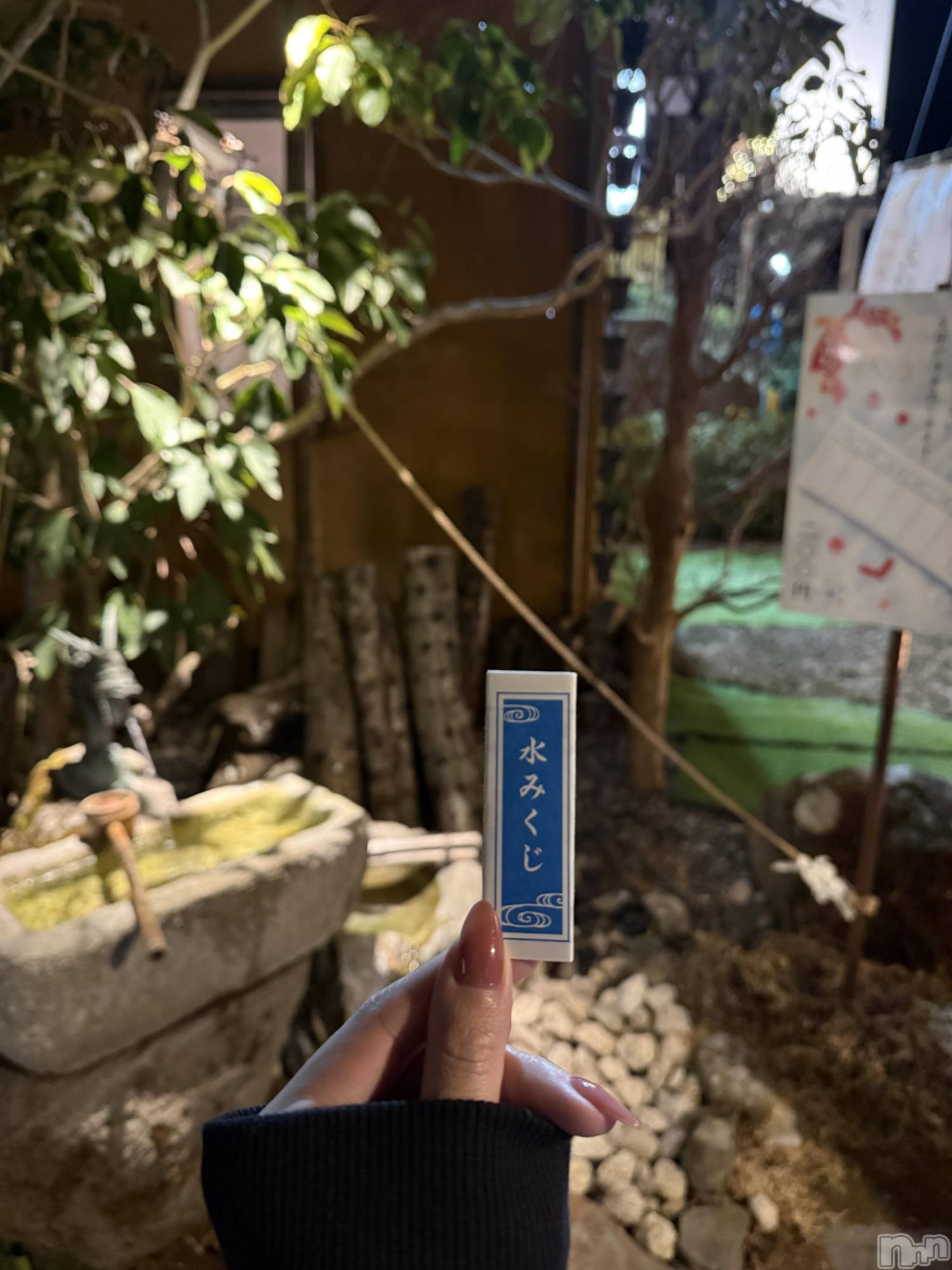 ��ˬ����Х��顦����֥���� �ץ���� ��ˬ(����� �ץ���� ����) ��2026ǯ2��21���̥�֥�����🥠��