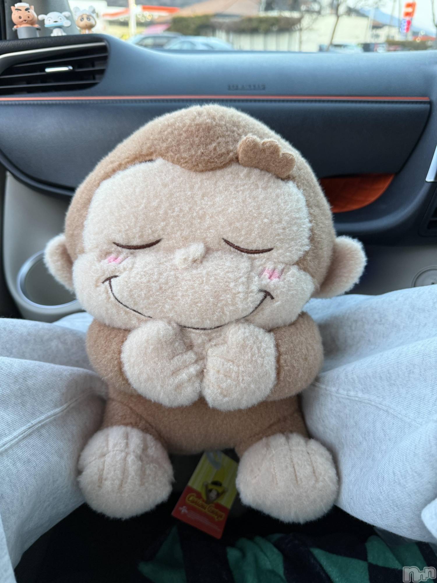 ��ˬ����Х��顦����֥���� �ץ���� ��ˬ(����� �ץ���� ����) ��2026ǯ3��3���̥�֥�����🐒��