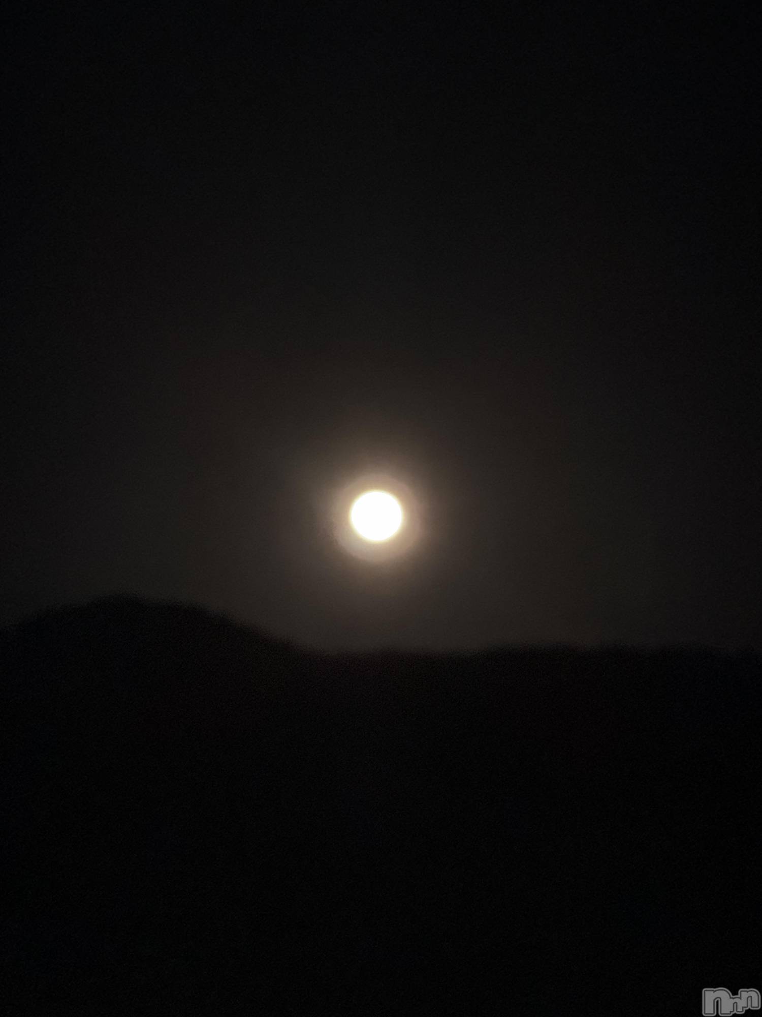 ��ˬ����Х��顦����֥���� �ץ���� ��ˬ(����� �ץ���� ����) ��2026ǯ3��21���̥�֥�����🌝��