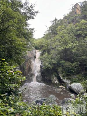 ��ˬ����Х��顦����֥���� �ץ���� ��ˬ(����� �ץ���� ����) �� ���(27)��9��2���̥�֥�����🌳��