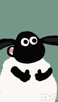 ��ˬ����Х��顦����֥���� �ץ���� ��ˬ(����� �ץ���� ����) �� ���(27)��10��5���̥�֥�����🍶��