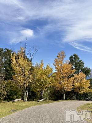 ��ˬ����Х��顦����֥���� �ץ���� ��ˬ(����� �ץ���� ����) �� ���(27)��11��7���̥�֥�����🍁��