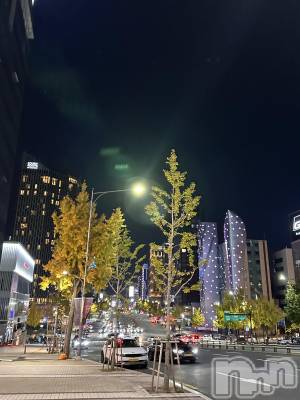 ��ˬ����Х��顦����֥���� �ץ���� ��ˬ(����� �ץ���� ����) �� ���(27)��11��18���̥�֥�����🇰🇷��