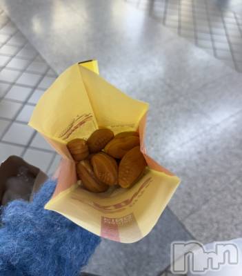 ��ˬ����Х��顦����֥���� �ץ���� ��ˬ(����� �ץ���� ����) �� ���(27)��11��30���̥�֥�����🤤��