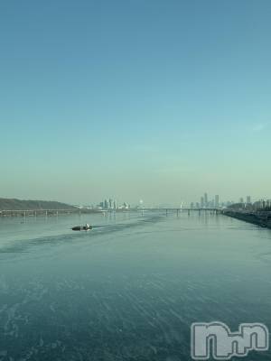 ��ˬ����Х��顦����֥���� �ץ���� ��ˬ(����� �ץ���� ����) �� ���(27)��1��16���̥�֥�����🇰🇷��