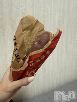 ��ˬ����Х��顦����֥���� �ץ���� ��ˬ(����� �ץ���� ����) �� ���(27)��1��28���̥�֥�����🍠��