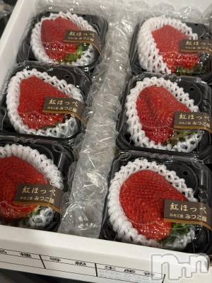 ��ˬ����Х��顦����֥���� �ץ���� ��ˬ(����� �ץ���� ����) �� ���(27)��2��4���̥�֥�����🍓��