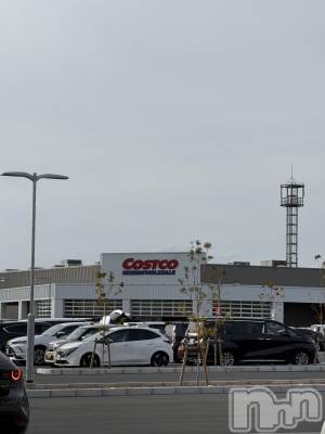 ��ˬ����Х��顦����֥���� �ץ���� ��ˬ(����� �ץ���� ����) �� ���(27)��2��23���̥�֥�����🛒��