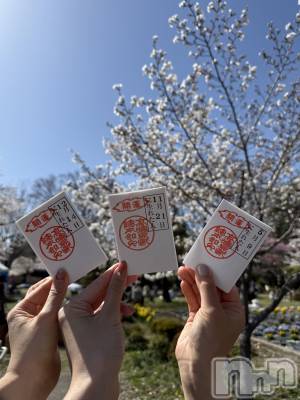 ��ˬ����Х��顦����֥���� �ץ���� ��ˬ(����� �ץ���� ����) �� ���(27)��4��25���̥�֥�����🥠��