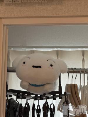 ��ˬ����Х��顦����֥���� �ץ���� ��ˬ(����� �ץ���� ����) �� ���(27)��5��16���̥�֥�����😂��