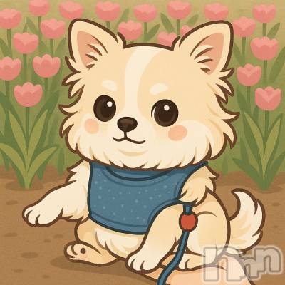 ��ˬ����Х��顦����֥���� �ץ���� ��ˬ(����� �ץ���� ����) �� ���(27)��5��28���̥�֥�����🐶��