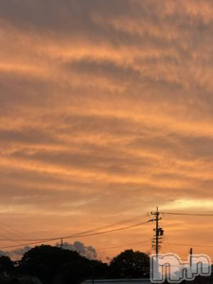 ��ˬ����Х��顦����֥���� �ץ���� ��ˬ(����� �ץ���� ����) �� ���(27)��6��26���̥�֥�����🌆��