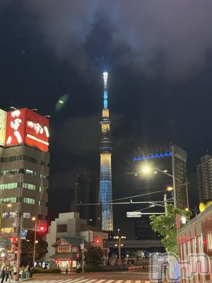 ��ˬ����Х��顦����֥���� �ץ���� ��ˬ(����� �ץ���� ����) �� ���(27)��6��30���̥�֥�����🍻��