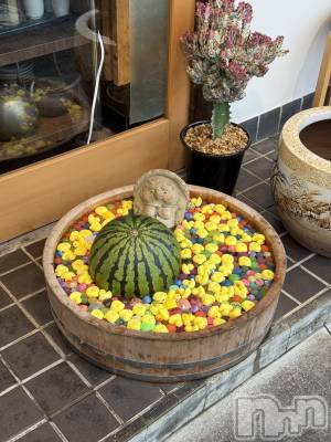 ��ˬ����Х��顦����֥���� �ץ���� ��ˬ(����� �ץ���� ����) �� ���(27)��7��10���̥�֥�����🍉��