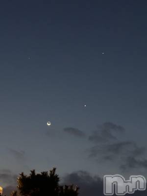 ��ˬ����Х��顦����֥���� �ץ���� ��ˬ(����� �ץ���� ����) �� ���(27)��8��22���̥�֥�����🌙��