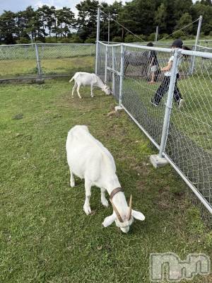 ��ˬ����Х��顦����֥���� �ץ���� ��ˬ(����� �ץ���� ����) �� ���(27)��8��30���̥�֥�����🐐��