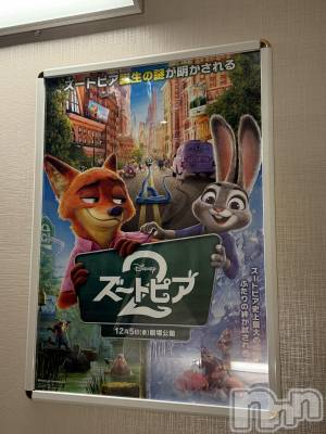 ��ˬ����Х��顦����֥���� �ץ���� ��ˬ(����� �ץ���� ����) �� ���(27)��12��24���̥�֥�����🎞️��