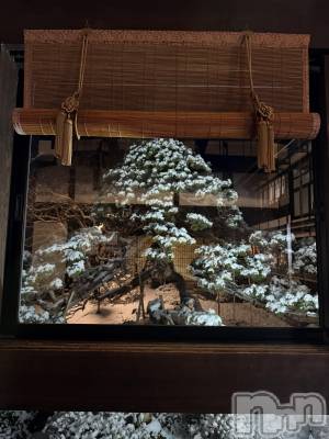 ��ˬ����Х��顦����֥���� �ץ���� ��ˬ(����� �ץ���� ����) �� ���(27)��1��11���̥�֥�����🌳��