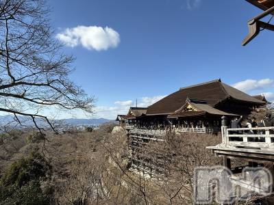 ��ˬ����Х��顦����֥���� �ץ���� ��ˬ(����� �ץ���� ����) �� ���(27)��1��22���̥�֥�����☺️��