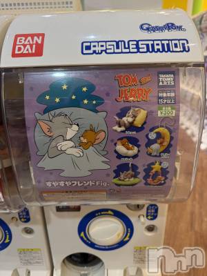 ��ˬ����Х��顦����֥���� �ץ���� ��ˬ(����� �ץ���� ����) �� ���(27)��2��25���̥�֥�����💊��