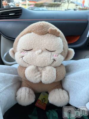 ��ˬ����Х��顦����֥���� �ץ���� ��ˬ(����� �ץ���� ����) �� ���(27)��3��3���̥�֥�����🐒��