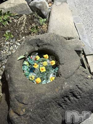 ��ˬ����Х��顦����֥���� �ץ���� ��ˬ(����� �ץ���� ����) �� ���(27)��3��18���̥�֥�����🐣��