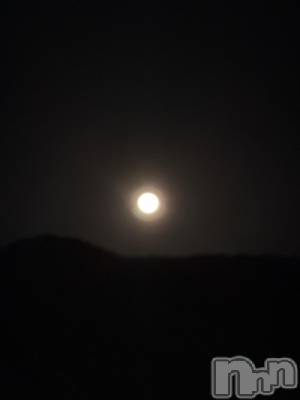 ��ˬ����Х��顦����֥���� �ץ���� ��ˬ(����� �ץ���� ����) �� ���(27)��3��21���̥�֥�����🌝��