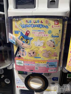 ��ˬ����Х��顦����֥���� �ץ���� ��ˬ(����� �ץ���� ����) �� ���(27)��3��28���̥�֥�����💊��