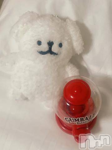 長岡デリヘル奥様特急 長岡店(オクサマトッキュウナガオカテン) ちゆ(23)の9月23日写メブログ「ガムボール🍬」