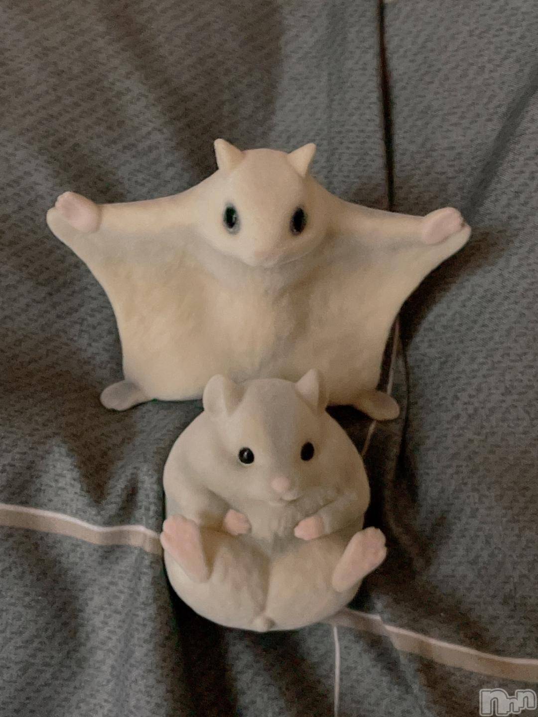 長岡デリヘル奥様特急 長岡店(オクサマトッキュウナガオカテン)ちゆ(23)の2024年11月7日写メブログ「みーつけた👀💕」