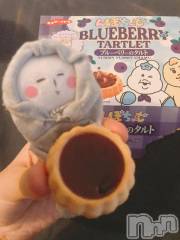 長岡人妻デリヘル奥様特急 長岡店(オクサマトッキュウナガオカテン) ちゆ(23)の5月16日写メブログ「大福×ブルーベリータルト🫐」