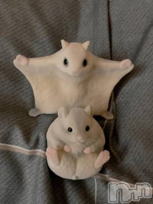 長岡デリヘル 奥様特急 長岡店(オクサマトッキュウナガオカテン) ちゆ(23)の11月7日写メブログ「みーつけた👀💕」