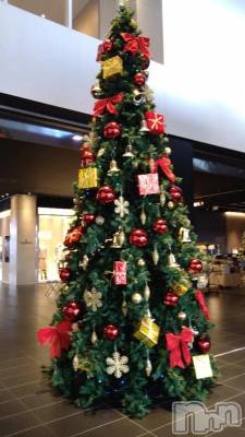 新潟デリヘル 熟女の風俗 最終章(ジュクジョノフウゾクサイシュウショウ) ふうか(40)の12月11日写メブログ「おはようございます😊」