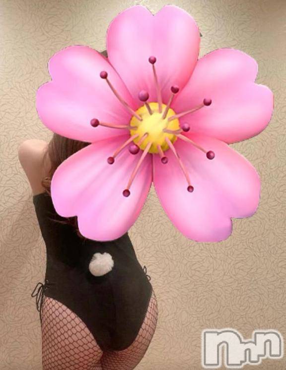 新潟デリヘルSecret Love(シークレットラブ) さくらこ☆素人若妻(31)の3月25日写メブログ「私の季節🍂桜子お誘いしてくださいね♡」