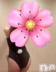 新潟デリヘルSecret Love(シークレットラブ) さくらこ☆素人若妻(31)の3月25日写メブログ「私の季節🍂桜子お誘いしてくださいね♡」