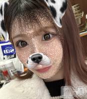 ���� ����������ʥå��������륺�С� ���פꥹ�ʥå� ��ä��礤(���ޥĥꥹ�ʥå���å��祤)���ҡ�
