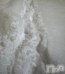 新潟デリヘル奥様特急 新潟店(オクサマトッキュウニイガタテン) ゆりね(31)の2月12日写メブログ「どれどれ」